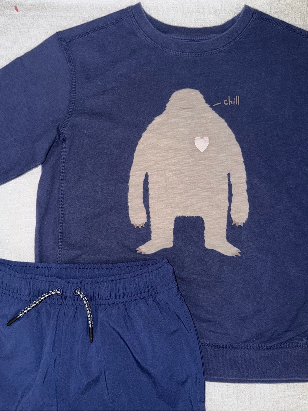 Peek Navy Long Sleeve Shirt with Yeti and New Hanna Andersson Pants size 12/150